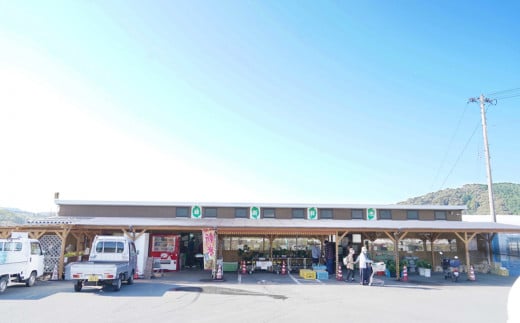 取りたて新鮮！旬の野菜詰め合わせセット