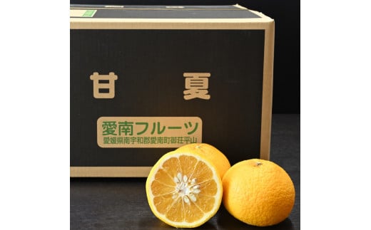 先行予約 訳あり 減農薬 甘夏 5kg 愛南フルーツ サイズミックス サイズ混合 不揃い 柑橘 蜜柑 愛媛 みかん あまなつ 産地 産直 発送期間：2024年2月20日～ 4月20日