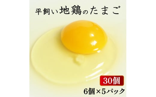 【愛媛県愛南町】平飼い地鶏のたまご 30個 6個入×5パック たまご 卵 玉子 生卵 鶏卵 平飼い 岡崎おうはん 地鶏 鳥 鶏 愛知 なごや 岡崎 愛媛 愛南町 ケーキ お菓子 おかず ブランド 希少 送料無料 ローカルスタンダード