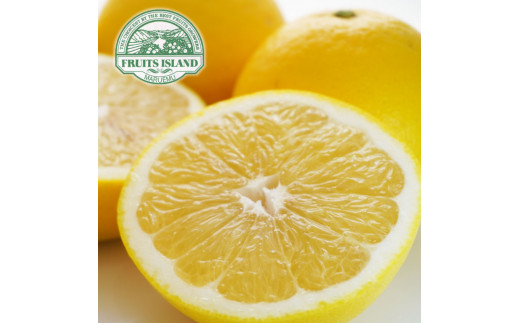 先行予約 訳あり 美生柑 みしょうかん 約10kg 河内晩柑 不揃い 大小ミックス 傷あり ばんかん フルーツ 果物 くだもの 文旦 晩生柑 厳選 愛媛 みかん 蜜柑 愛南 ご当地 ブランド 