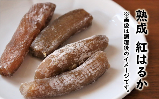 訳あり 熟成 さつまいも 食べ比べ 3種 セット 紅はるか 安納芋 シルクスイート 合計 5kg サイズ混合 サツマイモ 焼き芋 干し芋 丸干し 冷凍焼き芋 冷やし焼き芋 やきいも 蜜芋 ほしいも スイートポテト いも天 サイズミックス  甘い ねっとり 生芋 新芋 あんのういも 甘藷 べにはるか スイーツ 国産 糖度 産地直送 農家直送 数量限定 7000円 愛媛県 愛南町 ミッチーのおみかん畑