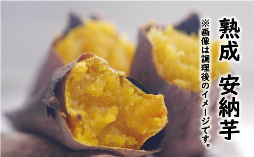 訳あり 熟成 さつまいも 食べ比べ 3種 セット 紅はるか 安納芋 シルクスイート 合計 5kg サイズ混合 サツマイモ 焼き芋 干し芋 丸干し 冷凍焼き芋 冷やし焼き芋 やきいも 蜜芋 ほしいも スイートポテト いも天 サイズミックス  甘い ねっとり 生芋 新芋 あんのういも 甘藷 べにはるか スイーツ 国産 糖度 産地直送 農家直送 数量限定 7000円 愛媛県 愛南町 ミッチーのおみかん畑