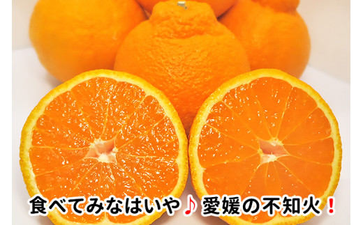 先行予約 優品 不知火 約3kg 12玉～18玉 清家ばんかんビレッジ ギフト 贈答 みかん 蜜柑 しらぬい デコポン 清見 きよみ ポンカン 柑橘 果物 フルーツ 柑橘 糖度 ビタミン 健康 美容 愛媛 愛南 発送:2024年2月10日～3月31日(なくなり次第終了)