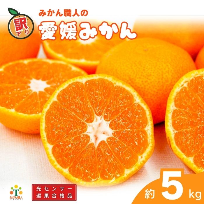 yQ쒬z󂠂 Q݂ 5kg yԁF9{`1{zZT[I k ʕ Y t[c  召 ~bNX s  B r^~  ݂Elc Q 쒬