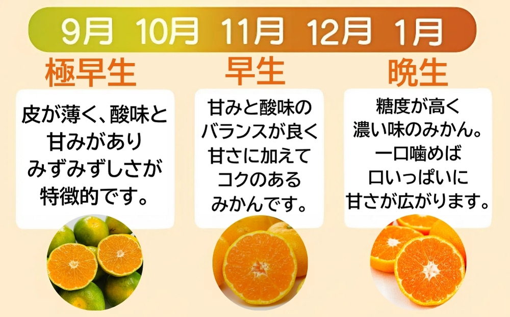 訳あり 愛媛みかん 5kg 【発送期間：9月中旬～1月中旬】光センサー選果 柑橘 果物 国産 フルーツ 蜜柑 大小 ミックス 不揃い 傷 温州 ビタミン 美味しい みかん職人武田屋 愛媛県 愛南町