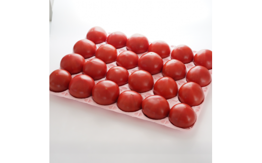 岸本くんの完熟トマト 大玉 4kg 発送期間：2025年12月10日～2026年2月28日	