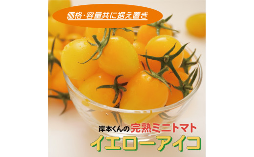 【愛媛県愛南町】岸本くんの完熟ミニトマト イエローアイコ 180gパック×8 発送期間:2025年12月1日〜2026年5月10日