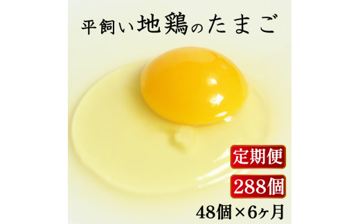 yQ쒬z S6 n{̂܂ 48×6 v288 48 ܂  ʎq  {  肨͂ n{  { m Ȃ  Q 쒬 P[L َq  uh   [JX^_[h