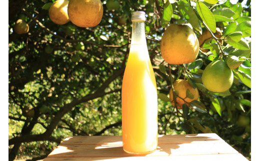 樹齢40年 愛南ゴールドジュース 720ml × 2本 河内晩柑 愛南ゴールド 焼酎 蒸留酒 果汁 無添加 ジュース 贈答 ギフト プレゼント 河内晩柑 ばんかん 柑橘 かんきつ 果汁 100% 愛媛 みかん 蜜柑 ゼリー 寒天 母の日 敬老の日 お歳暮 お中元 国産 愛南町青果市場