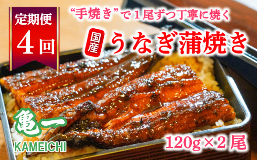 yQ쒬z 4 Ȃ  120g 2{ V T Ă V ^ Zbg