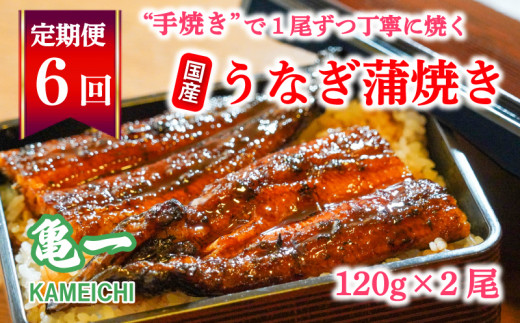 【愛媛県愛南町】定期便 6回 うなぎ 蒲焼 約120g 2本 老舗 亀一 手焼き 鰻 タレ セット