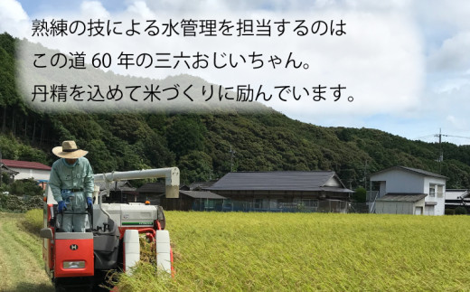 令和 5年 新米 6.5kg 吉本農園 米 お米 おこめ 白米 国産 コシヒカリ ブランド 炊きたて 冷めても 美味しい 旨味 甘み 愛媛県 愛南町 発送期間：8月20日～