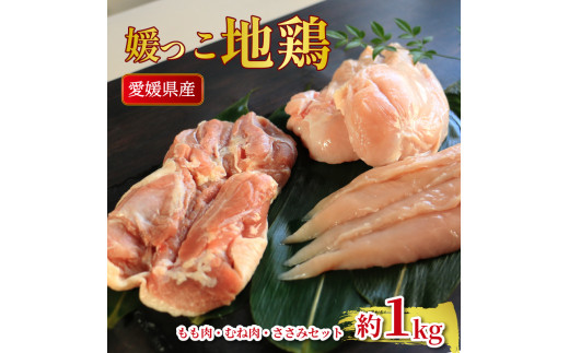 地鶏 愛媛 媛っこ地鶏 もも むね ささみセット 約1kg 鶏肉 鳥肉 肉 チキン むね肉 もも肉  焼肉 焼き鳥  BBQ 冷凍 国産 高級 タンパク質 低脂肪 糖質 唐揚げ チキン南蛮 サラダチキン スープ 出汁 ダイエット 愛南町 送料無料 ローカルスタンダード