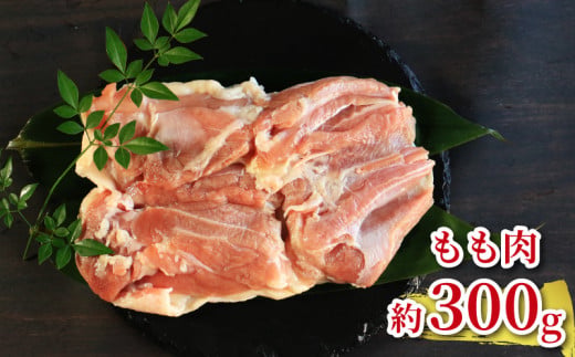 地鶏 愛媛 媛っこ地鶏 もも むね ささみセット 約1kg 鶏肉 鳥肉 肉 チキン むね肉 もも肉  焼肉 焼き鳥  BBQ 冷凍 国産 高級 タンパク質 低脂肪 糖質 唐揚げ チキン南蛮 サラダチキン スープ 出汁 ダイエット 愛南町 送料無料 ローカルスタンダード