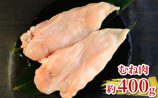 地鶏 愛媛 媛っこ地鶏 もも むね ささみセット 約1kg 鶏肉 鳥肉 肉 チキン むね肉 もも肉  焼肉 焼き鳥  BBQ 冷凍 国産 高級 タンパク質 低脂肪 糖質 唐揚げ チキン南蛮 サラダチキン スープ 出汁 ダイエット 愛南町 送料無料 ローカルスタンダード