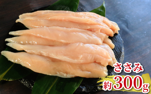 地鶏 愛媛 媛っこ地鶏 もも むね ささみセット 約1kg 鶏肉 鳥肉 肉 チキン むね肉 もも肉  焼肉 焼き鳥  BBQ 冷凍 国産 高級 タンパク質 低脂肪 糖質 唐揚げ チキン南蛮 サラダチキン スープ 出汁 ダイエット 愛南町 送料無料 ローカルスタンダード