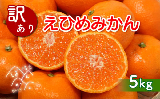 先行予約 訳あり 愛媛みかん 5kg (傷み保証250g) 発送期間 2025年11月上旬以降 みかん 愛媛みかん 温州みかん 南柑20号 柑橘 蜜柑 かんきつ 冬 秋 旬 正月 おすそ分け シェア 愛媛 愛媛県 愛南町 お歳暮 プレゼント くだもの 果物 フルーツ おやつ お菓子 和菓子 甘い 糖度 オレンジ 冷凍 みかん ジュース 清家ばんかんビレッジ