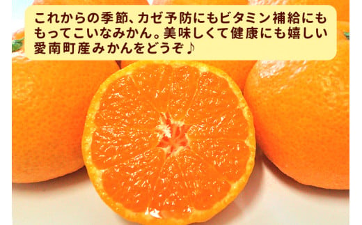 先行予約 訳あり 愛媛みかん 5kg 傷み補償 250g 増量 発送期間 2025年11月上旬以降 みかん 愛媛みかん 温州みかん 南柑20号 柑橘 蜜柑 かんきつ 冬 秋 旬 正月 おすそ分け シェア 愛媛 愛媛県 愛南町 お歳暮 プレゼント くだもの 果物 フルーツ おやつ お菓子 和菓子 甘い 糖度 オレンジ 冷凍 みかん ジュース 清家ばんかんビレッジ