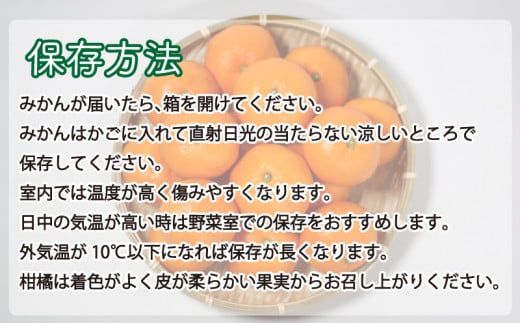 先行予約 訳あり 愛媛みかん 5kg 傷み補償 250g 増量 発送期間 2025年11月上旬以降 みかん 愛媛みかん 温州みかん 南柑20号 柑橘 蜜柑 かんきつ 冬 秋 旬 正月 おすそ分け シェア 愛媛 愛媛県 愛南町 お歳暮 プレゼント くだもの 果物 フルーツ おやつ お菓子 和菓子 甘い 糖度 オレンジ 冷凍 みかん ジュース 清家ばんかんビレッジ