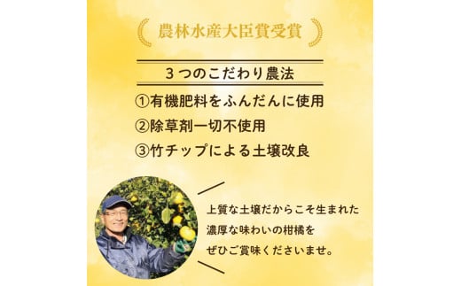 定期便 4回  柑橘 吉本農園  甘平 文旦 河内晩柑 愛南ゴールド 宝紅まどんな 4ヶ月