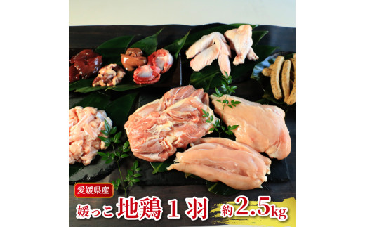 yQ쒬zn{ Q Qn{ 1HZbg 2.5kg {   `L ނ˓   o[  nc  ē Ă  BBQ Ⓚ Y  ^pN ᎉb  g `L T_`L X[v o` c _CGbg 쒬  [