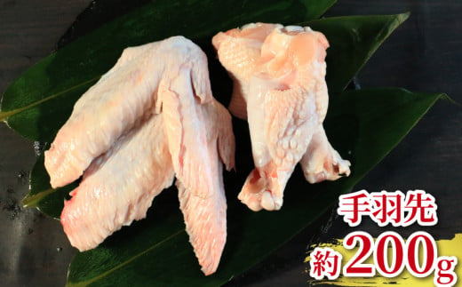 地鶏 愛媛 媛っこ地鶏 1羽セット 約2.5kg 鶏肉 鳥肉 肉 チキン むね肉 もも肉 ささみ レバー せせり ハツ 砂肝 焼肉 焼き鳥  BBQ 冷凍 国産 高級 タンパク質 低脂肪 糖質 唐揚げ チキン南蛮 サラダチキン スープ 出汁 モツ煮 ダイエット 愛南町 送料無料 ローカルスタンダード