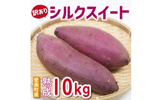 訳あり 熟成 シルクスイート 10kg サイズ混合 サツマイモ 焼き芋 干し芋 丸干し 冷凍焼き芋 冷やし焼き芋 やきいも 蜜芋 ほしいも スイートポテト フライドポテト いも天 サイズミックス  甘い ねっとり しっとり ほくほく 生芋 新芋 芋 いも 甘藷 スイーツ おかず さつまいも 国産 人気 糖度 産地直送 農家直送 数量限定 14000円 愛媛県 愛南町 ミッチーのおみかん畑