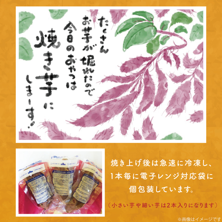 茨城県行方市のふるさと納税 【2025年9月末より順次発送】★少し大きめサイズ★熟成紅はるか冷凍焼き芋約1.2kg＋おまかせ品種さつまいも 合計約1.4kg｜さつまいも サツマイモ さつま芋 焼き芋 やきいも 冷凍 冷凍焼き芋 紅はるか 茨城県 行方市(EY-3)