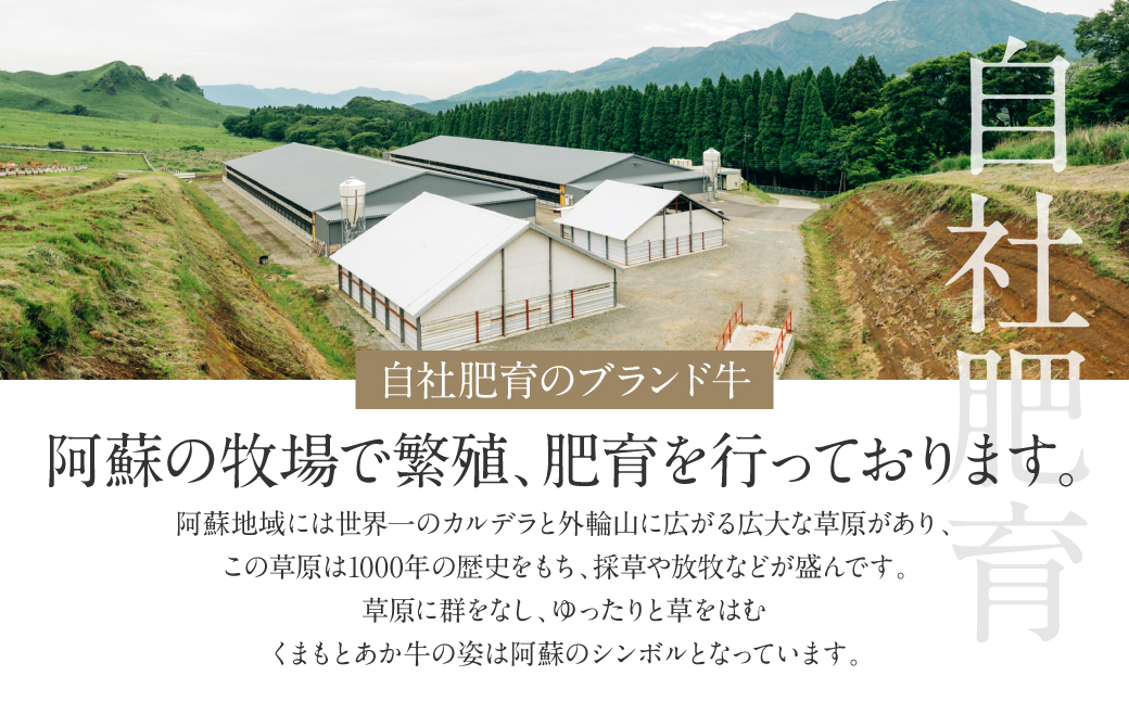 熊本県八代市のふるさと納税 あか牛ハンバーグ 120g×8個入り