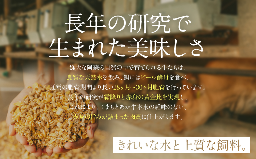 熊本県八代市のふるさと納税 あか牛ハンバーグ 120g×8個入り