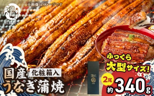 G7005_大型サイズ ふっくら柔らか 国産うなぎ 蒲焼き 2尾 (約4人前) 化粧箱入