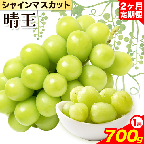 岡山県浅口市のふるさと納税 【2026年先行予約】シャインマスカット 晴王 岡山県産 定期便 2ヶ月 9月・10月発送《2026年9月中旬-10月中旬頃出荷(土日祝除く)》1房 700g 晴レ乃青果　(岡山中央卸売市場店(富士紙工 有限会社)) 岡山県 浅口市 【配送不可地域あり】