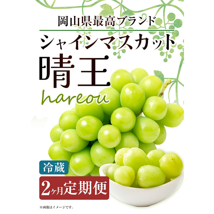 岡山県浅口市のふるさと納税 【2026年先行予約】シャインマスカット 晴王 岡山県産 定期便 2ヶ月 9月・10月発送《2026年9月中旬-10月中旬頃出荷(土日祝除く)》1房 700g 晴レ乃青果　(岡山中央卸売市場店(富士紙工 有限会社)) 岡山県 浅口市 【配送不可地域あり】