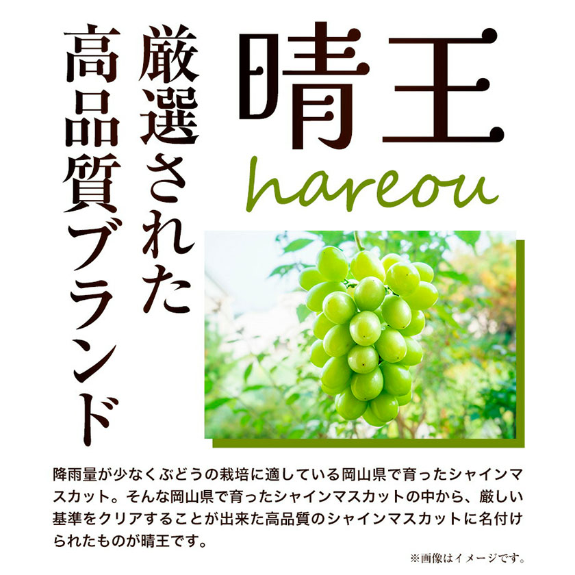 岡山県浅口市のふるさと納税 【2026年先行予約】シャインマスカット 晴王 岡山県産 定期便 2ヶ月 9月・10月発送《2026年9月中旬-10月中旬頃出荷(土日祝除く)》1房 700g 晴レ乃青果　(岡山中央卸売市場店(富士紙工 有限会社)) 岡山県 浅口市 【配送不可地域あり】