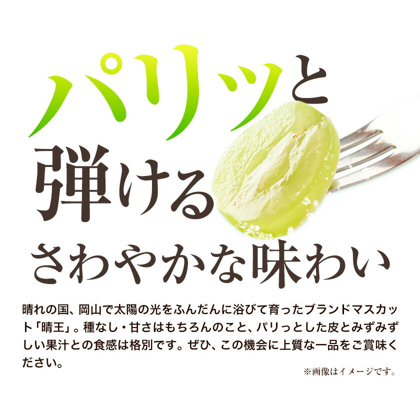 岡山県浅口市のふるさと納税 【2026年先行予約】シャインマスカット 晴王 岡山県産 定期便 2ヶ月 9月・10月発送《2026年9月中旬-10月中旬頃出荷(土日祝除く)》1房 700g 晴レ乃青果　(岡山中央卸売市場店(富士紙工 有限会社)) 岡山県 浅口市 【配送不可地域あり】