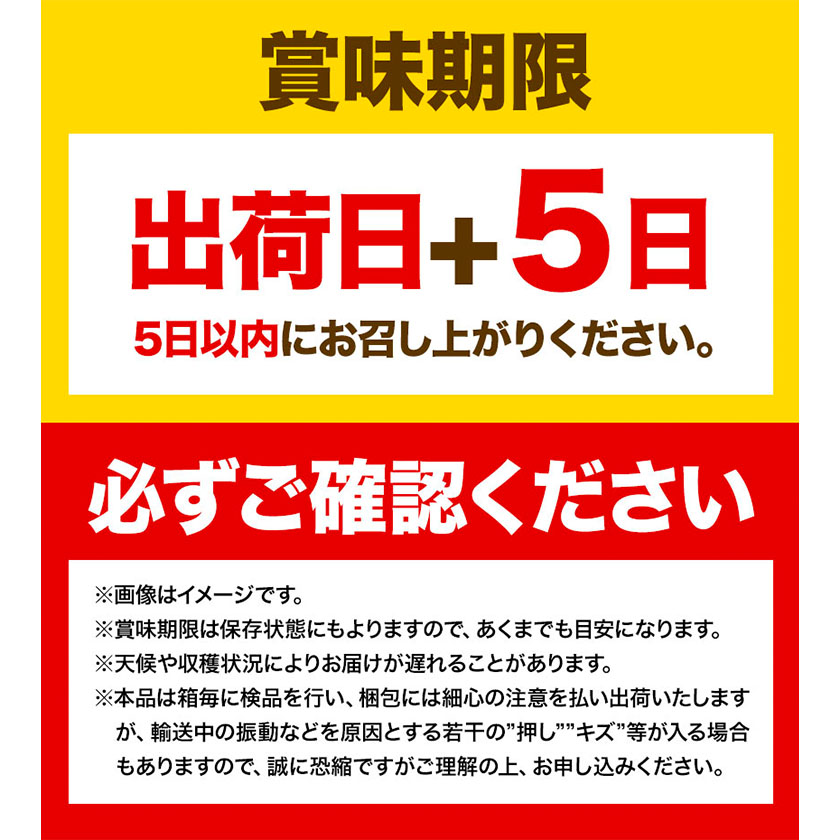 岡山県浅口市のふるさと納税 【2026年先行予約】シャインマスカット 晴王 岡山県産 定期便 2ヶ月 9月・10月発送《2026年9月中旬-10月中旬頃出荷(土日祝除く)》1房 700g 晴レ乃青果　(岡山中央卸売市場店(富士紙工 有限会社)) 岡山県 浅口市 【配送不可地域あり】