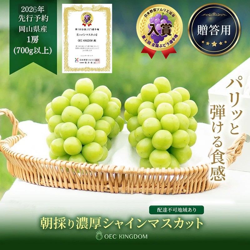 yRʖszԂǂ 2026N s\ v~A VC}XJbg 1[i700gȏj 嗱 [ NX  uhE   RY Y t[c ʕ Mtg OEC KINGDOM Ԃǂ ʕ