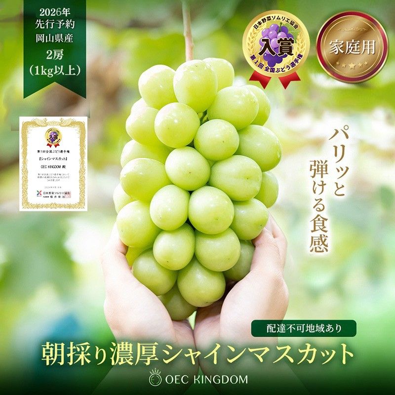 yRzԂǂ 2026N s\ mƒpn VC }XJbg 2[iv1kgȏj uhE  RY Y t[c ʕ OEC KINGDOM Ԃǂ ʕ