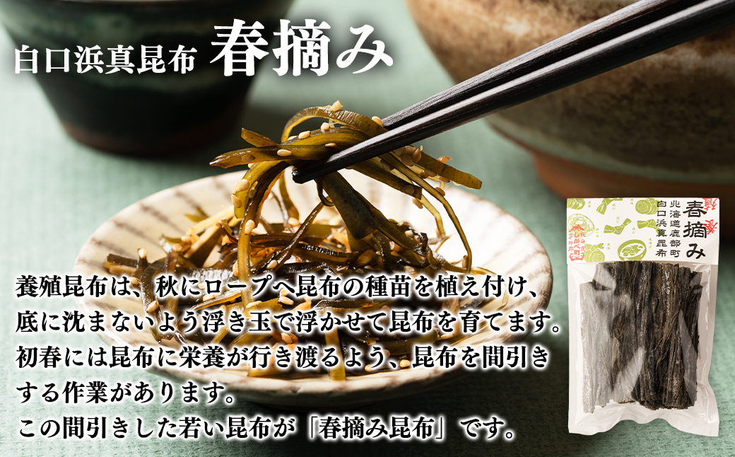 【北海道鹿部町産】白口浜真昆布 昆布尽くしセット 根昆布だし ドレッシング とろろ昆布 真昆布