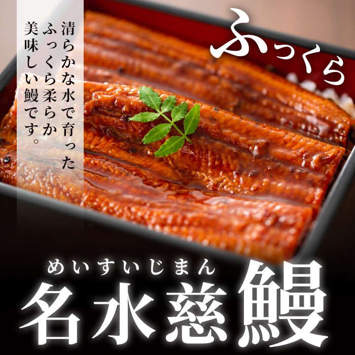 鹿児島県志布志市のふるさと納税 鹿児島県産うなぎ蒲焼 名水慈鰻 特大5尾(1尾190g以上)＜計950g以上＞ c5-035