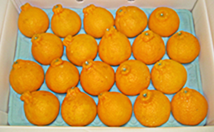 【 小豆島 】小豆島 ハウスデコポン 約5kg みかん 柑橘類 果物類 フルーツ 