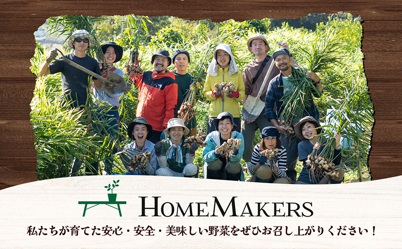 【 小豆島 】 瀬戸内 小豆島そだちの旬野菜 セット 農家直送 野菜 やさい 旬 旬野菜 新鮮 詰め合わせ 直送 国産 小豆島産 香川 香川県 土庄 土庄町