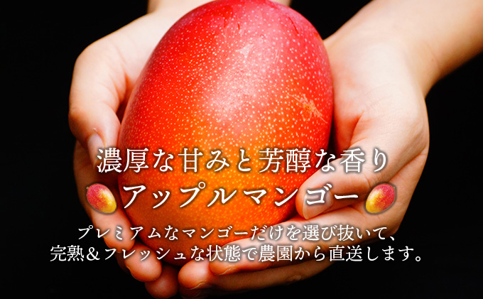 宮崎県串間市のふるさと納税 KU325 ＜先行予約＞【訳あり】宮崎完熟マンゴー(約2kg・大小混合3〜5個) 【やました農園】