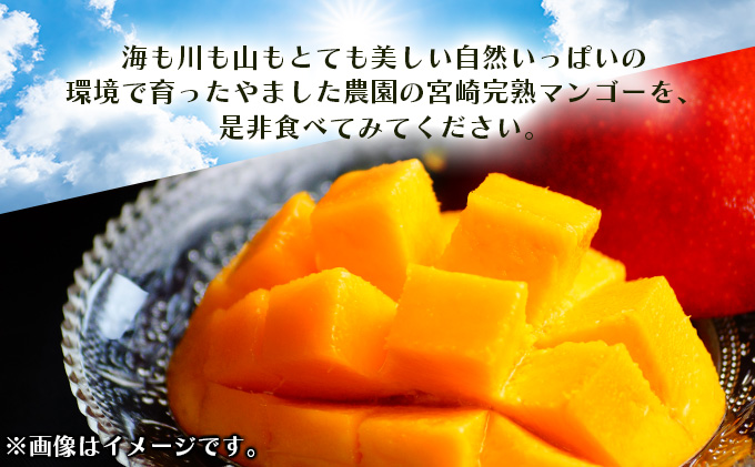 宮崎県串間市のふるさと納税 KU325 ＜先行予約＞【訳あり】宮崎完熟マンゴー(約2kg・大小混合3〜5個) 【やました農園】