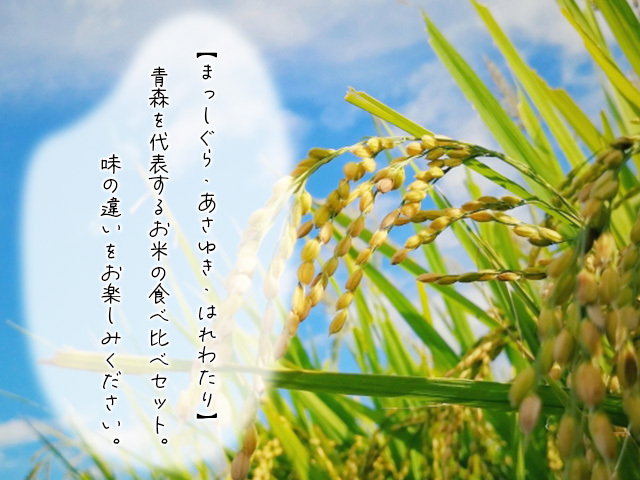 先行予約 新米 令和6年産 津軽のお米お試し セット 白米 2合 (約300g) 3袋 まっしぐら あさゆき はれわたり 米 精米 こめ お米 コメ 令和6年 食べ比べセット 食べ比べ 詰め合わせ 青森 青森県 鯵ヶ沢町 