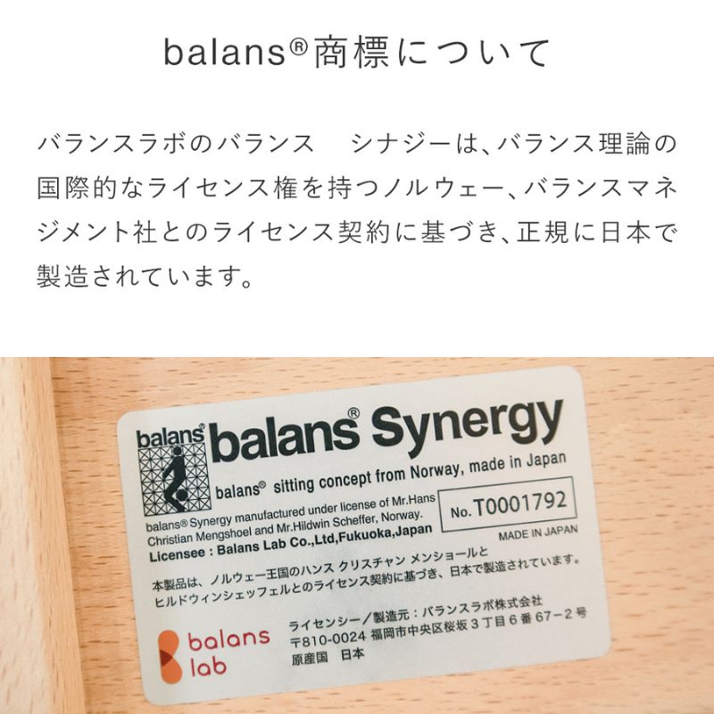 バランスシナジー カバーなし 選べる カラー 腰痛対策椅子 腰痛対策 腰痛予防 腰痛防止椅子 腰痛防止 椅子 姿勢強制椅子 姿勢が良くなる椅子 姿勢強制 姿勢が良くなる いす イス インテリア 家具 日本製 岐阜 岐阜県 美濃市