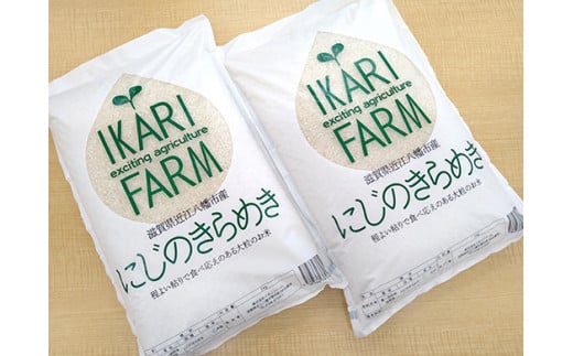 【新米】【7年産】にじのきらめき白米10kg（5kg×2袋）「大粒で食べ応えあり」【C060W】