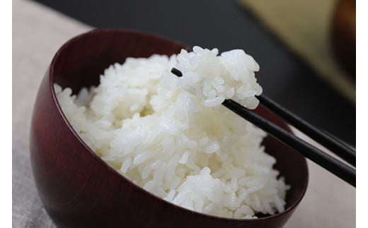 【新米】【7年産】にじのきらめき白米10kg（5kg×2袋）「大粒で食べ応えあり」【C060W】