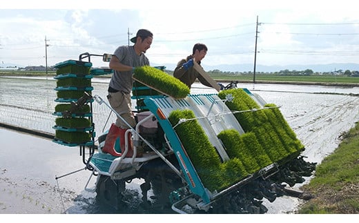 【新米】【7年産】にじのきらめき白米10kg（5kg×2袋）「大粒で食べ応えあり」【C060W】