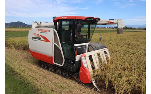 【新米】【7年産】にじのきらめき白米10kg（5kg×2袋）「大粒で食べ応えあり」【C060W】